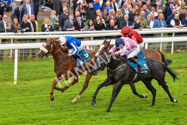 190523-Race 3-Marhaba The Champ-0645 - Race 3 3.00pm Knights Solicitors Handicap
