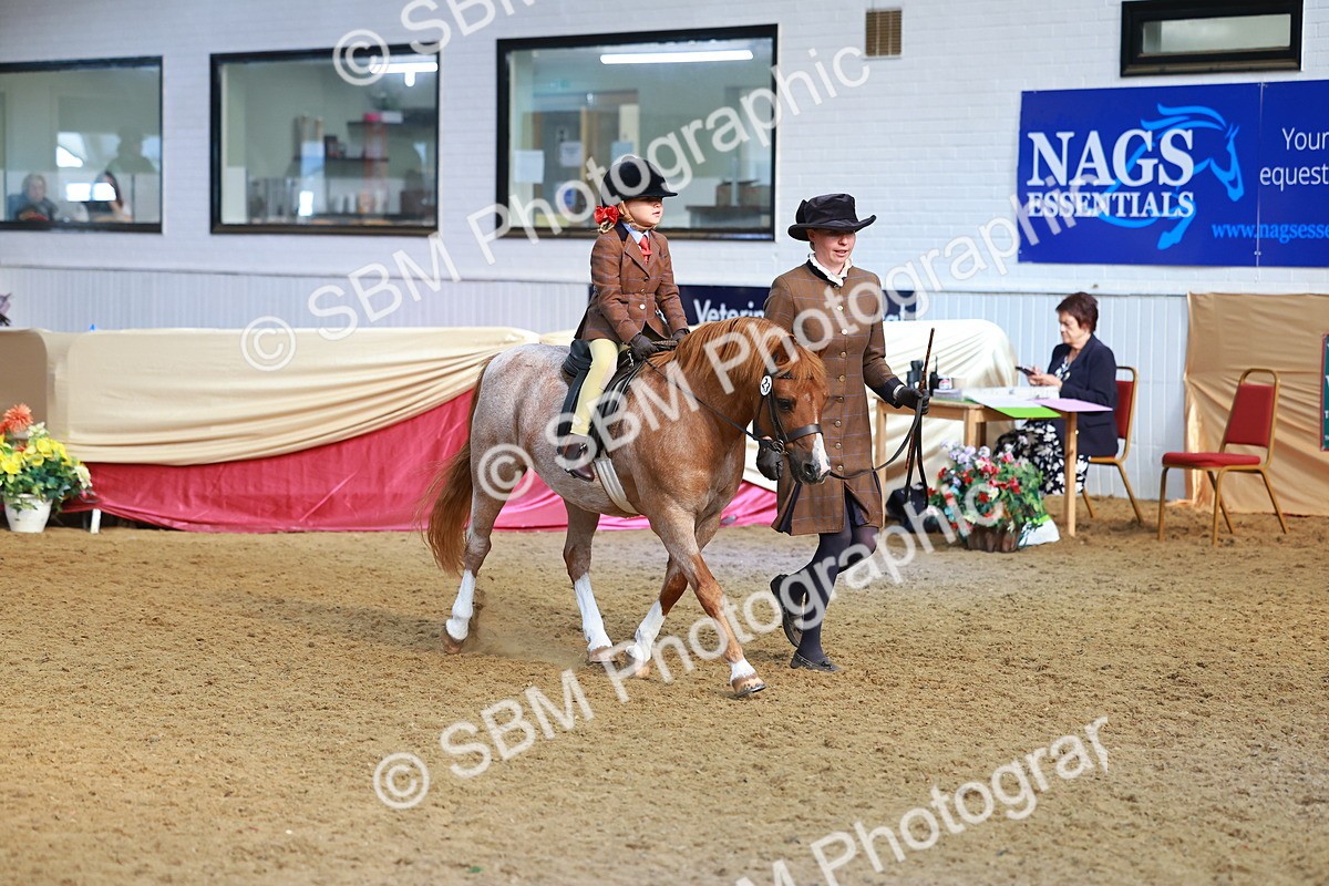 SBM_09560 - Class 102 - HOYS Veteran Qualifier - Ridden Veteran
