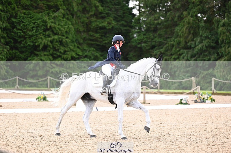 240524-102316-08088 - 416-CRISTAL_FONTAINE-Kitty_King