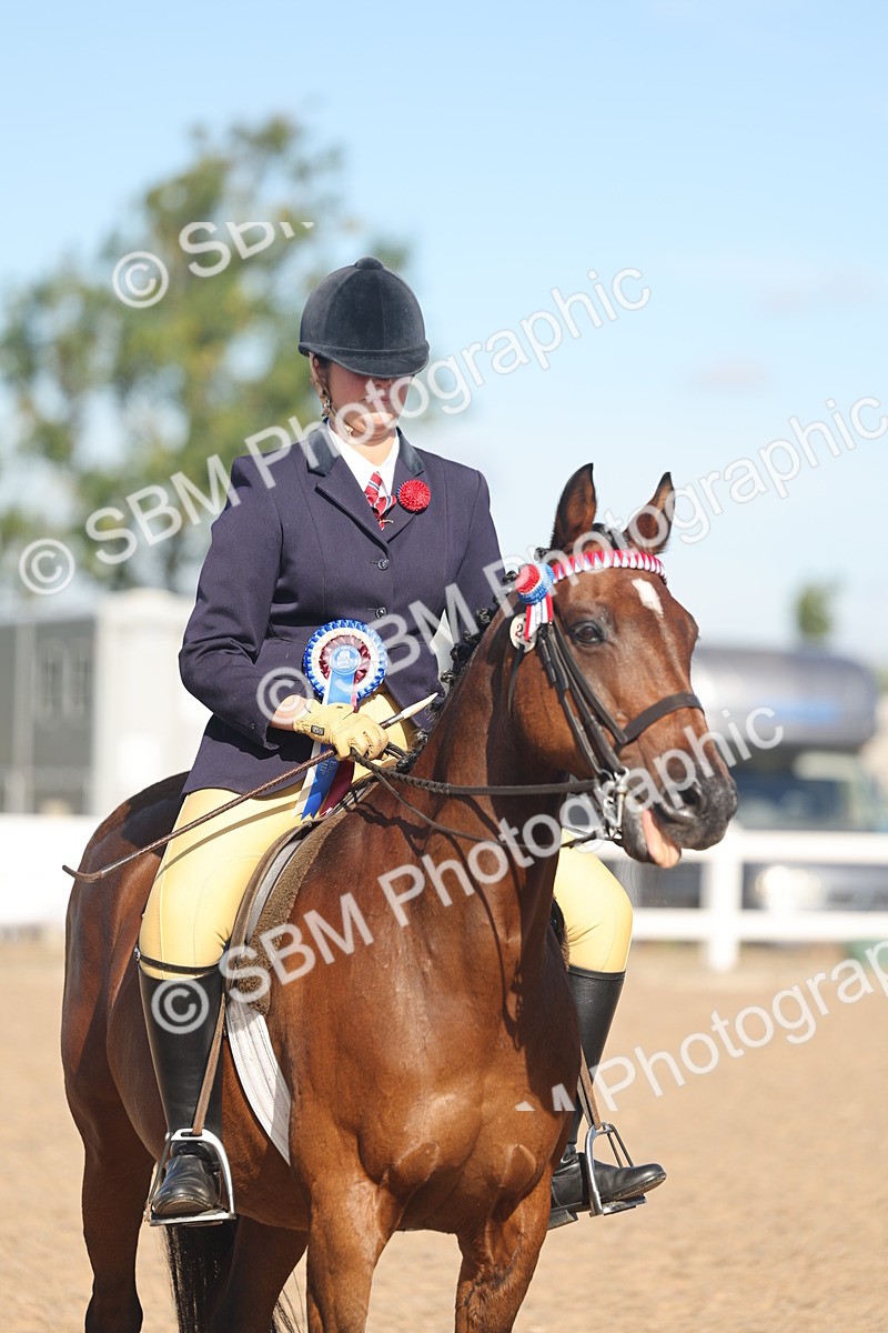 SBM_12415 - Class 304 - Ridden part Bred Horse Pony