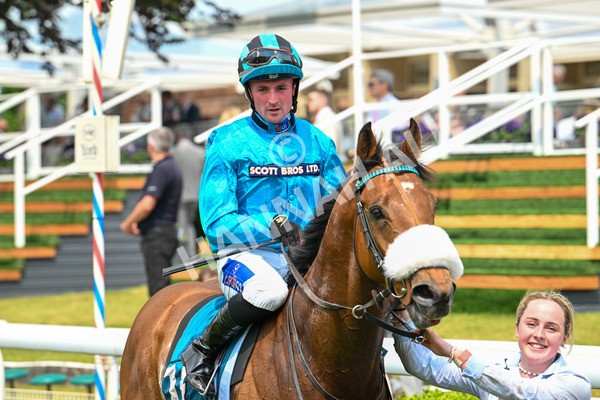 310525-Race 1-Ingleby Archie-8658 - Race 1 1.30pm William Hill Keep Your Raceday Positive Handicap