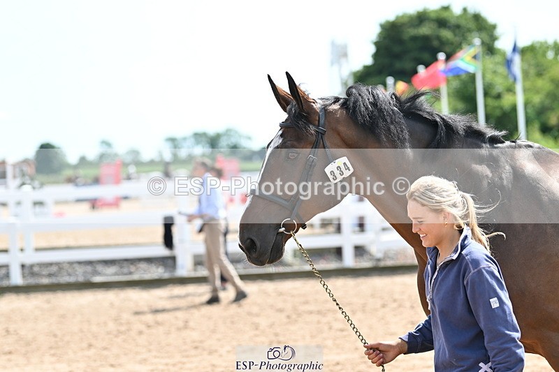 240717A-150959-02601 - Trot Up 3pm to 4pm