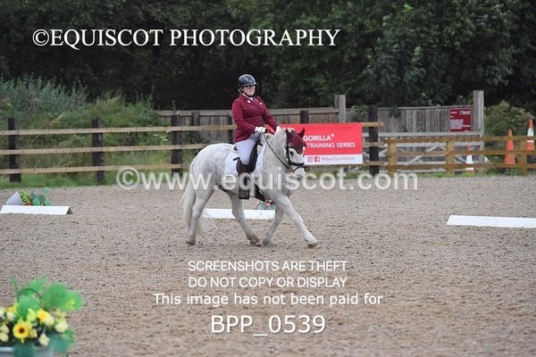 BPP_0539 - MFS PRELIM & NOV