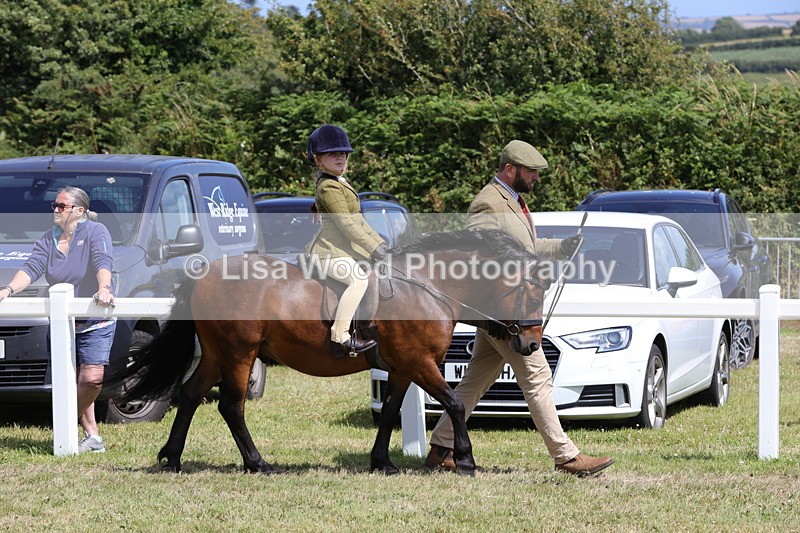 1X9A5233 - Class 36: NPS M&M Lead Rein