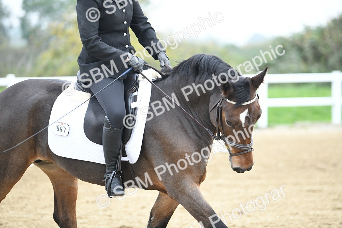 LAD_3951 - Novice Test 2