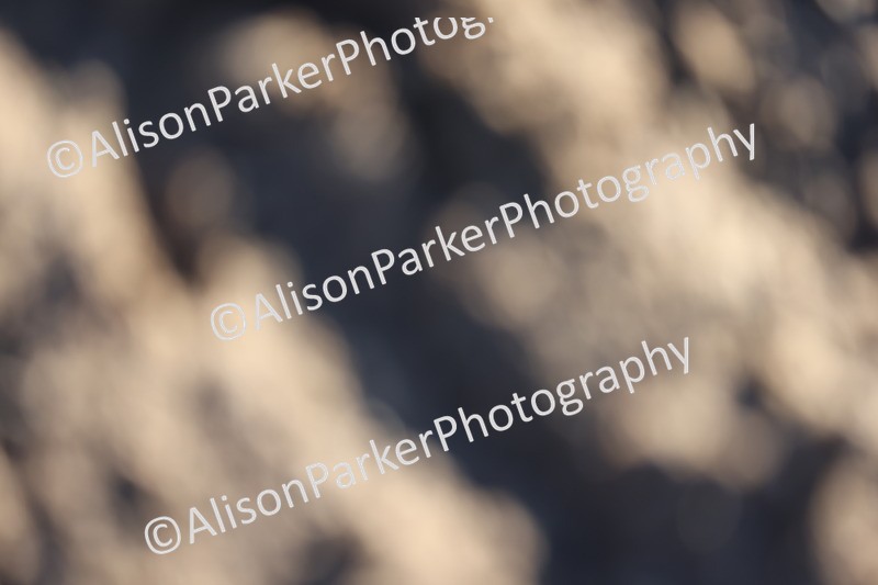 20251130-0389 - Class 2 - 70cm