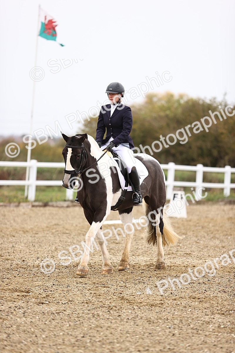 SBM_000733 - Novice 2