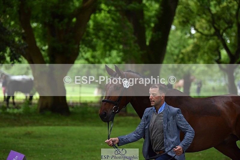 240522-162232-00871 - 275-SFS_ARRANO-Roberto_Scalisi