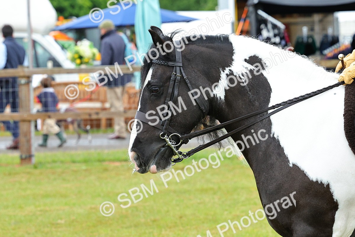 SBM_01272 - Class 1-4 - BSPA Ridden