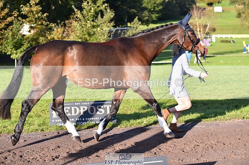 231022-095056-22070 - 449-INDI-Grace.Gillard-TrotUp+SJ