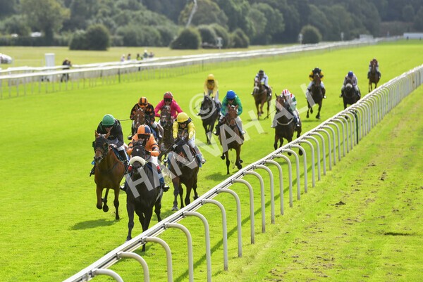 yr24092021r1-135 - Race 1 1.10pm Ernest Cooper Macmillan Ride of Their Lives