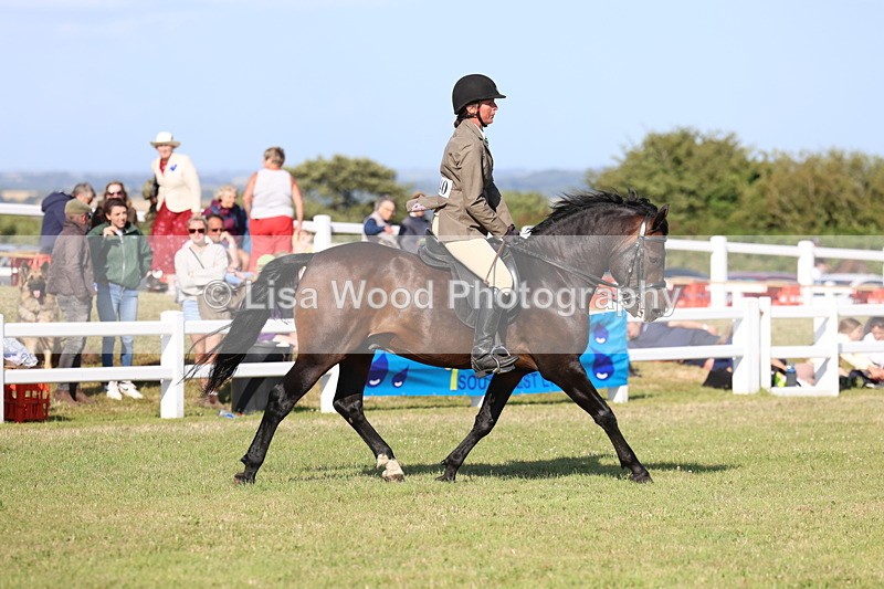 3E7A4159 - Supreme Championship