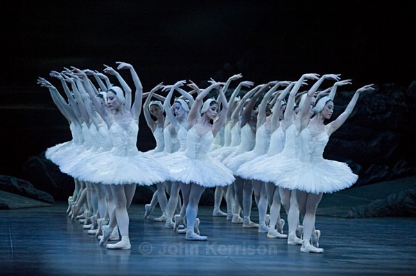  - Swan Lake