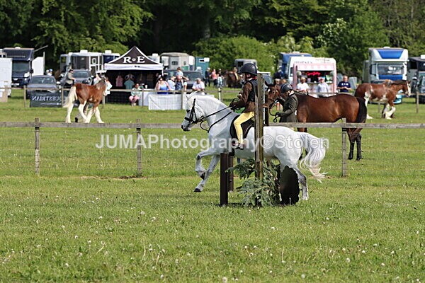 IMG_2131 - Working Hunter