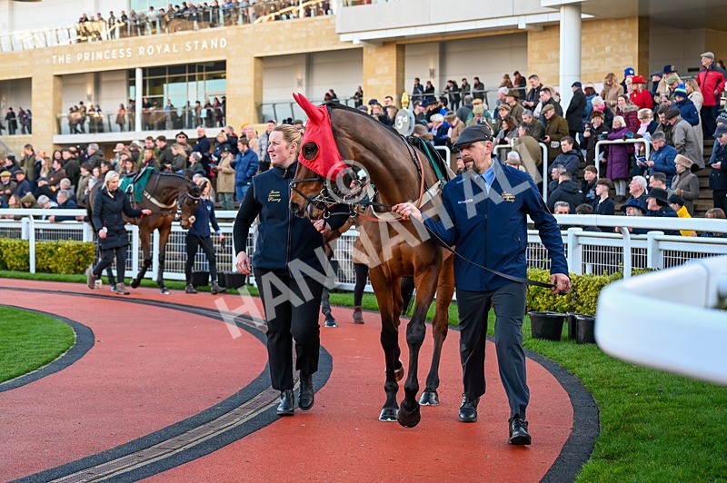 141224-Race 4-Ga Law-0586 - Race 4