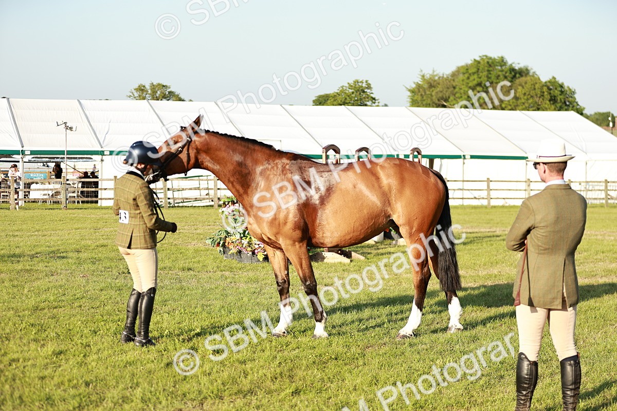 SBM_20529 - Class 117-119 - Sport Horse Working Hunter