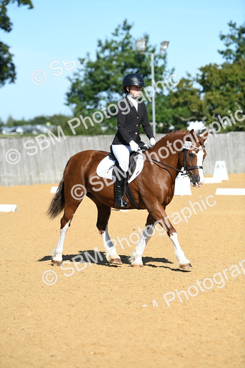 SBM_18012 - D4 - Small Tour Championship - Intro B