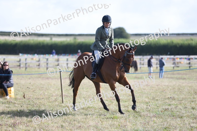 20250831-0824 - Class 14 - Ex Racehorse