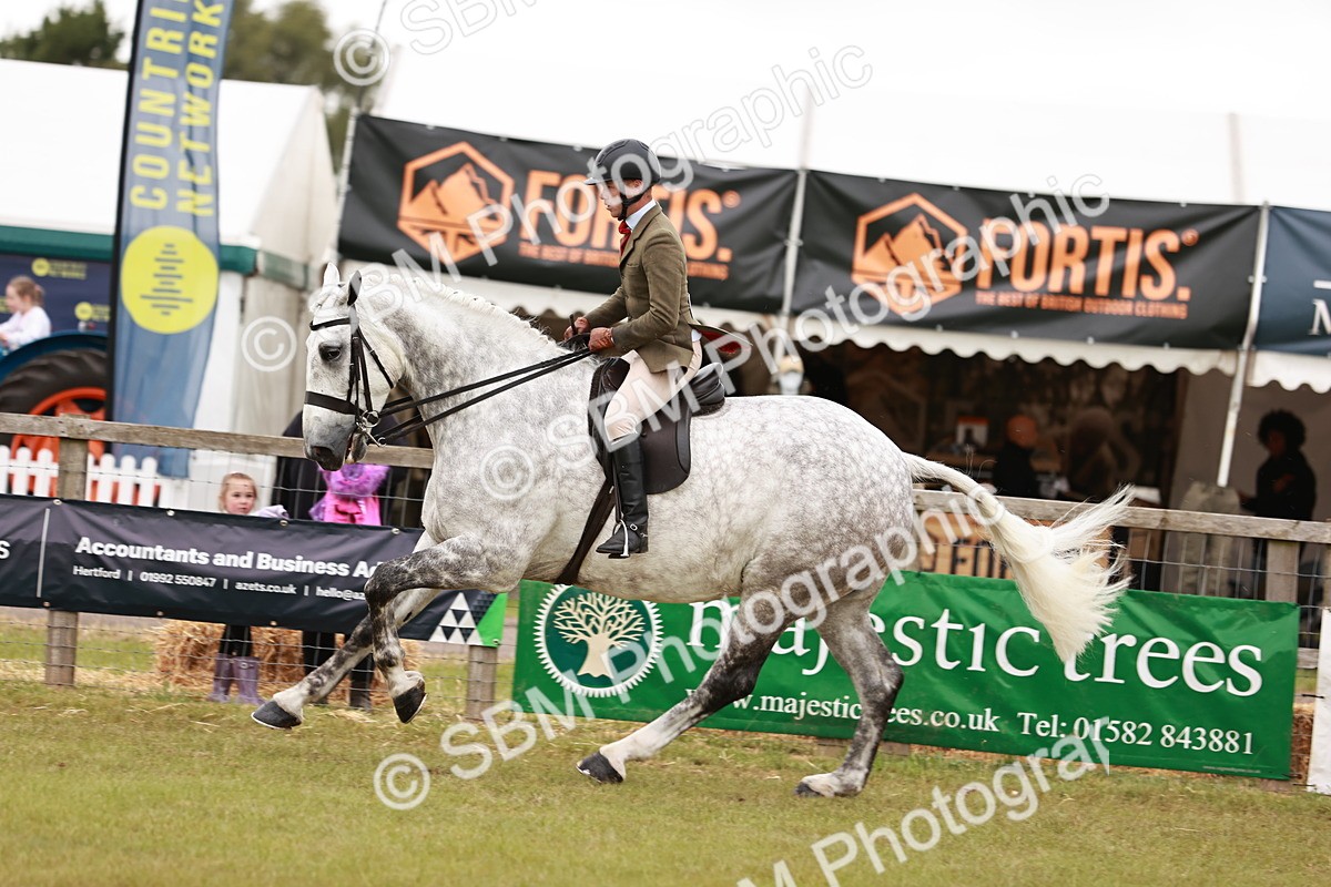 SBM_10940 - Class 81-84 - RIHS Ridden hunters Inc Ladies Hunter