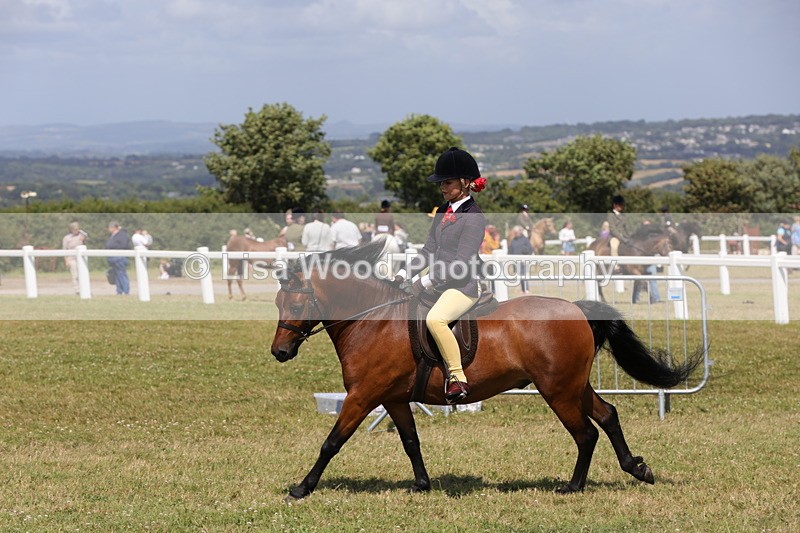 1X9A5401 - Class 37: NPS M&M First Ridden