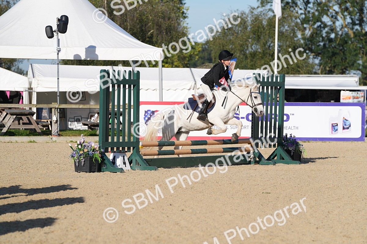 SBM_34401 - J62 - Clear Round 50cm