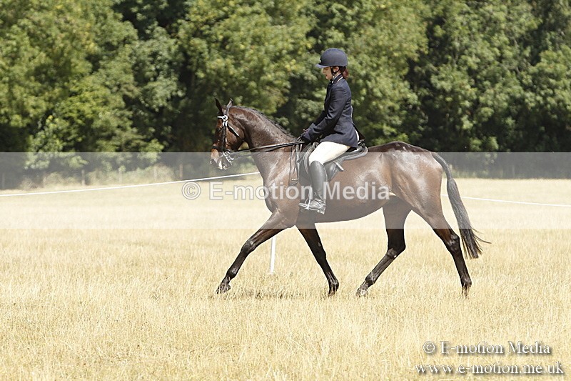 _BS_0749 - BVRC Show 2018 Ring 1