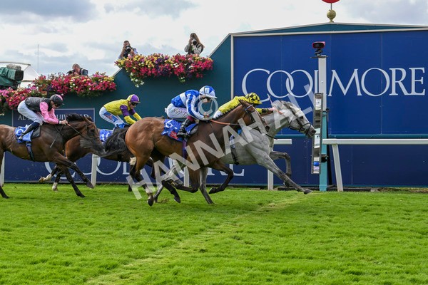 230824-Race 1-Shadow Dance-8729 - Race 1 1.50pm Sky Bet Handicap
