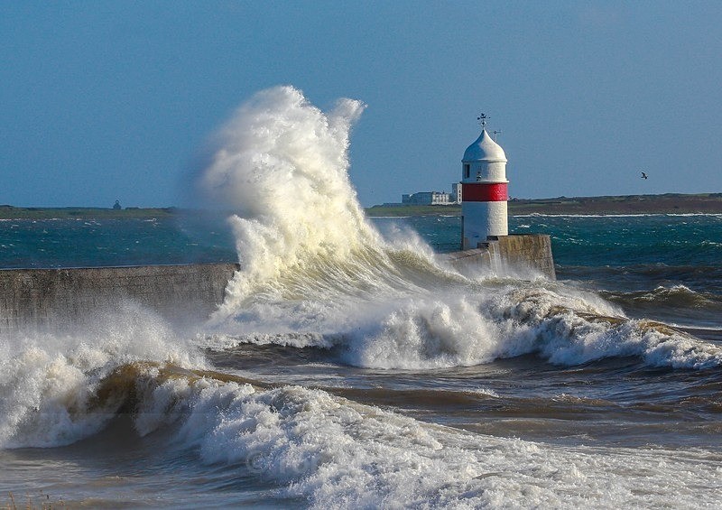 AW7C9941 - Land of Man