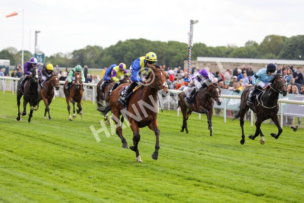 yr12052022r4-44 - Race 4 3.35pm Al Basti Equiworld Dubai Dante Stakes