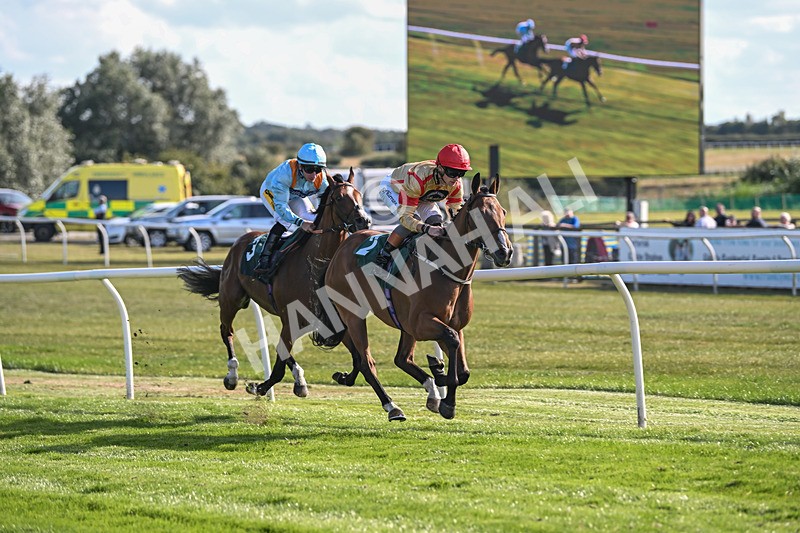 090925-Race 4-U Sure Do-8809 - Race 4