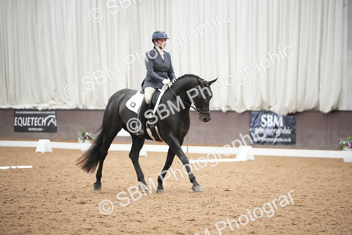 SBM_004742 - Class 11 - Elementary 2 Champs