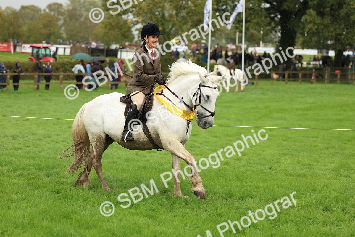 1I0A1532 - S32 - Mountain & Moorland Working Hunter Pony