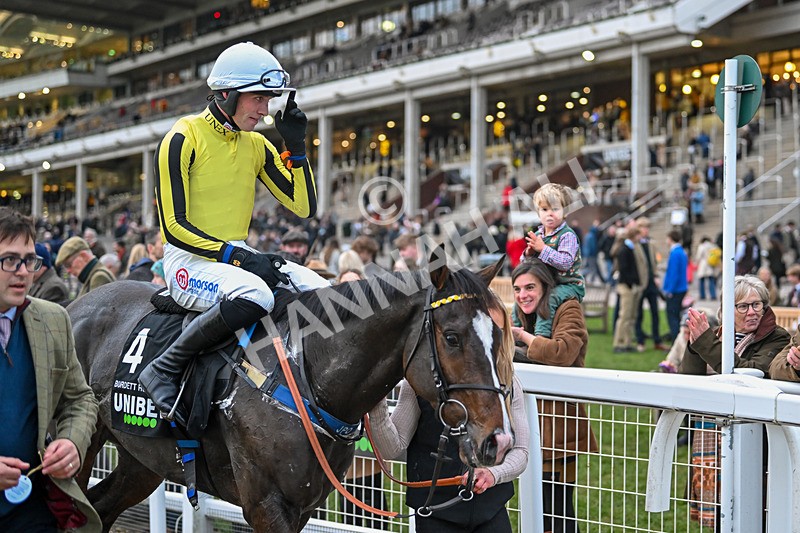 171124-Race 5-Burdett Road-4391 - Race 5