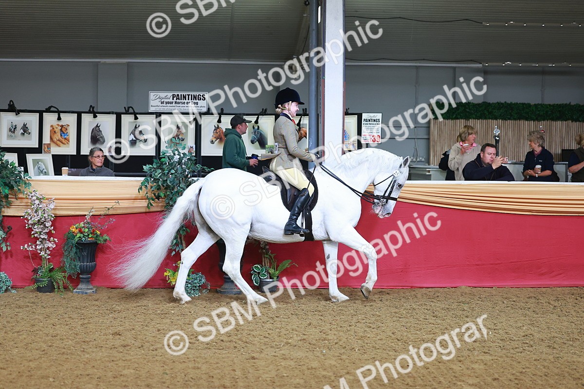 SBM_07616 - Class 101 - HOYS Veteran Qualifier - Ridden Diamond