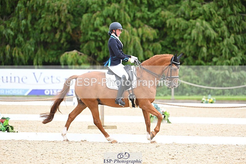 230813-134012-07619 - Cls 13 Medium Bronze 13.15 to End