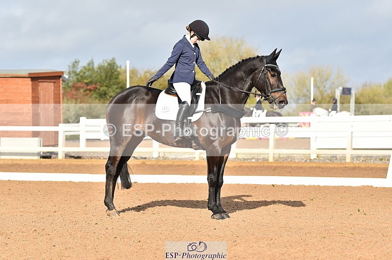 231104A-111610-01503 - Cls 5 Novice 37A