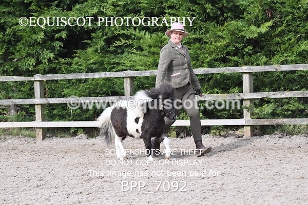 BPP_7092 - RING 1  (RIDDEN HORSES / IN HAND / VETERAN ETC)