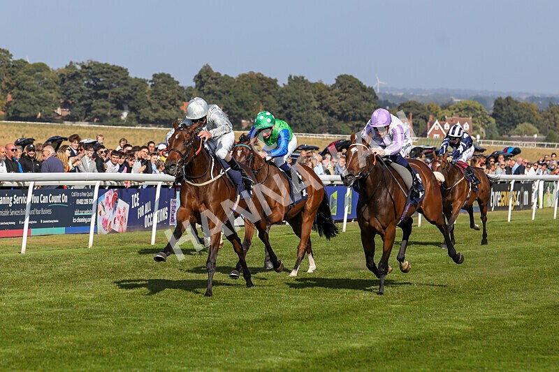 310824-Race 5-Bassadanza-1807 - Race 5