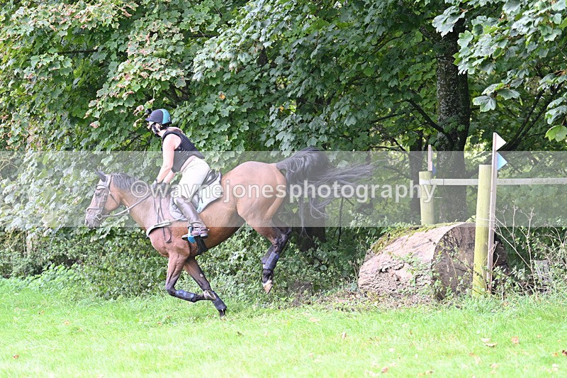 WJ7_8142 - Time 14:11 to 14:30