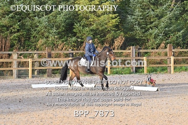 BPP_7873 - LONG ARENA