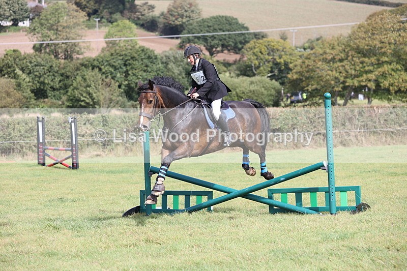 JPP_8806 - Class 2: Trekenning: 80cm Showjumping