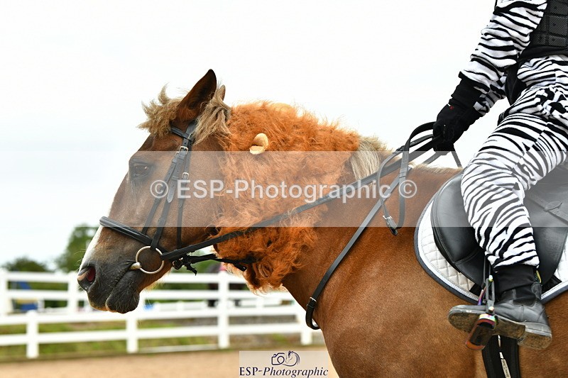 230804A-105708-02061 - Musical Ride