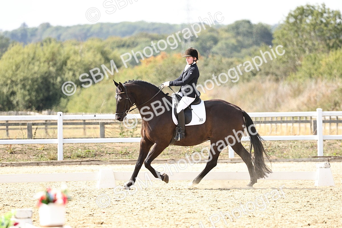 SBM_014875 - Class 7 - Medium 3