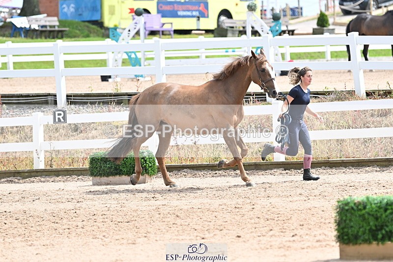 240717A-144253-02225 - Trot Up 2pm to 3pm - This folder is not in time order
