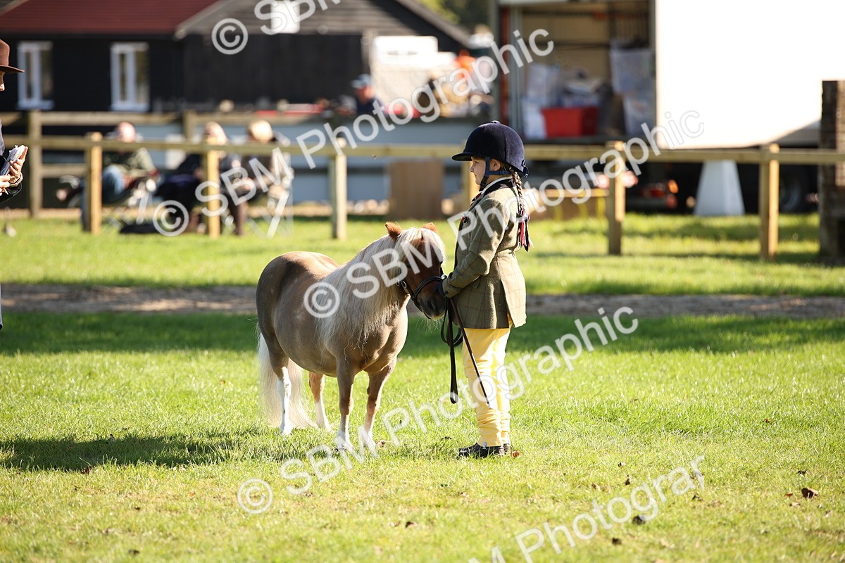SBM_36593 - S10 - Best In Hand Horse & Pony