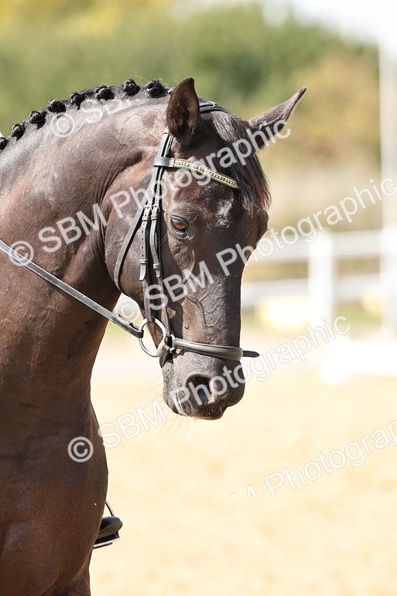 SBM_014870 - Class 7 - Medium 3