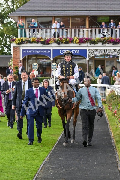 230824-Race 7-Treasure Time-0233 - Race 7 5.20pm Sky Bet Mile Handicap