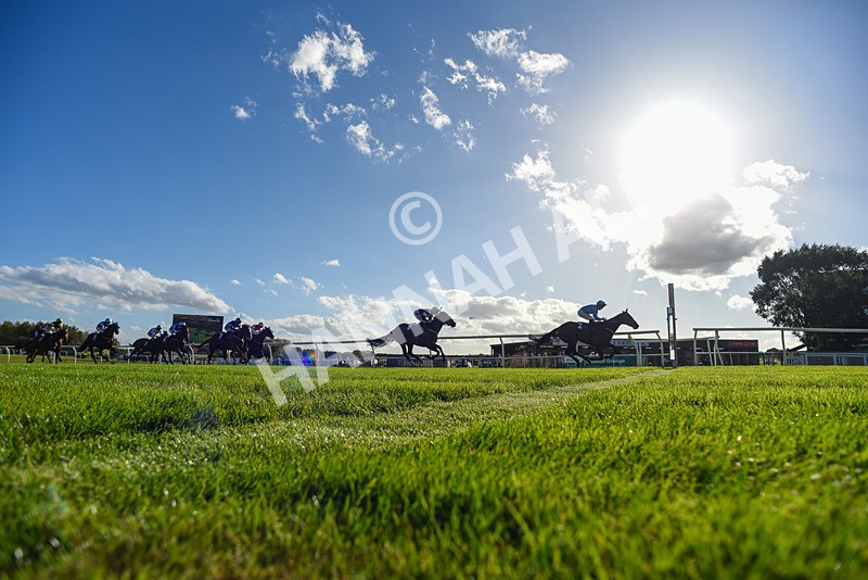 300926-Race 4-Diamont Katie-8184 - Race 4 3.42pm Bet At racingtv.com Handicap (Div I)