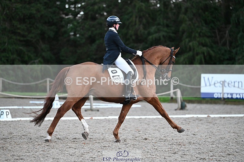 231110-164127-02741 - Cls 14 FEI Grand Prix