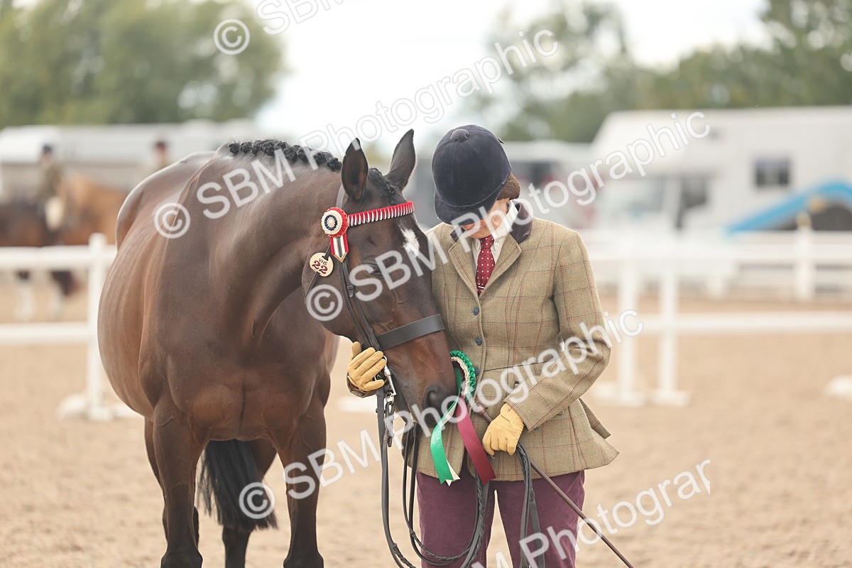 SBM_17159 - Class 313 - IH Retired Racehorse